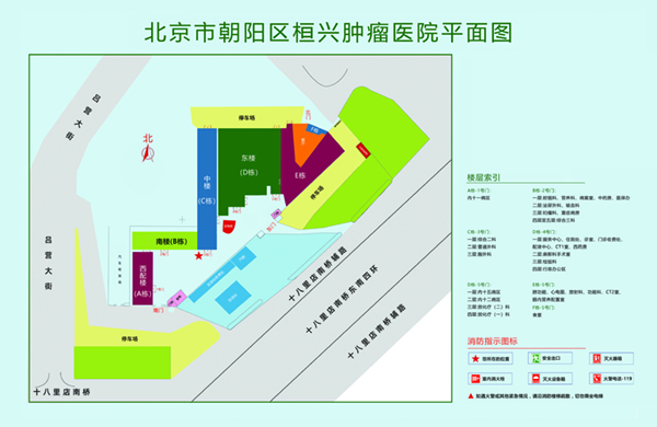 逼液吃香蕉网址北京市朝阳区桓兴肿瘤医院平面图